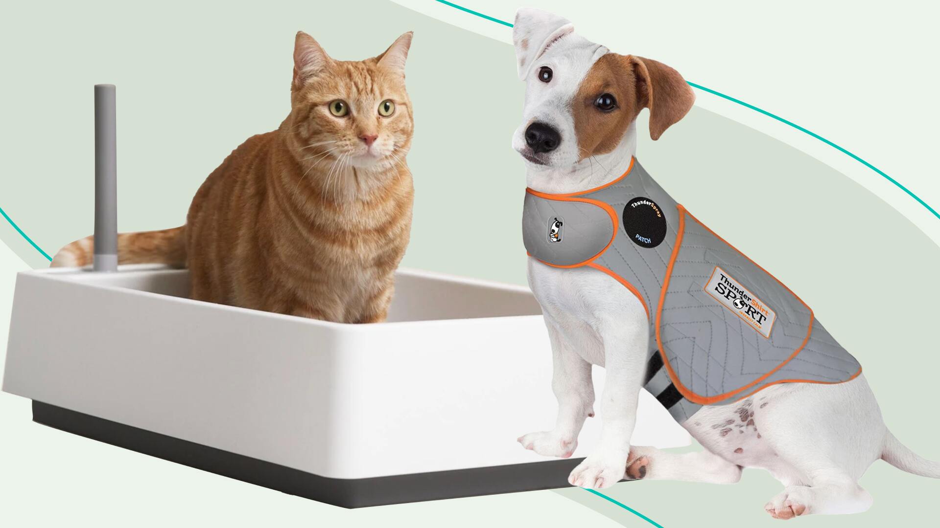 Products for pets for Shopify dropshipping